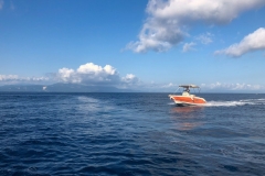 idea58-7-Custom idea58-7-Custom