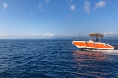 idea58-8-Custom idea58-8-Custom